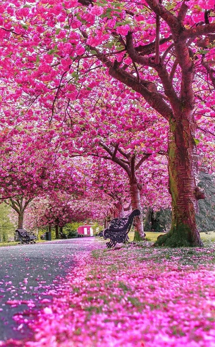 Lilac Field Bank workshop space where corporate flower arrangements are designed and prepared for business delivery